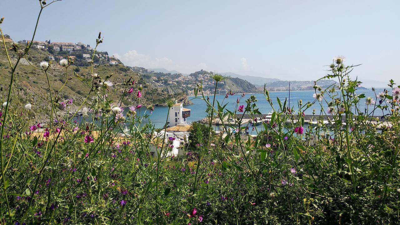 Lovely House With Views In Marina Del Este Almuñécar Eksteriør bilde